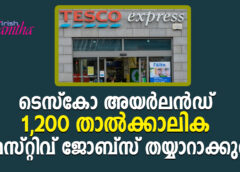 ടെസ്‌കോ അയർലൻഡ് 1,200 താൽക്കാലിക ഫെസ്റ്റിവ് ജോബ്സ് തയ്യാറാക്കുന്നു