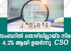 ഡിസംബറിൽ തൊഴിലില്ലായ്മ നിരക്ക് 4.2% ആയി ഉയർന്നു – CSO