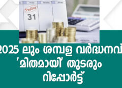 2025 ലും ശമ്പള വർദ്ധനവ് ‘മിതമായി’ തുടരും – റിപ്പോർട്ട്