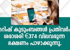 ഐറിഷ് കുടുംബങ്ങൾ പ്രതിവർഷം ശരാശരി €374 വിലവരുന്ന ഭക്ഷണം പാഴാക്കുന്നു.