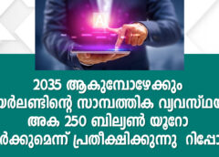 2035 ആകുമ്പോഴേക്കും അയർലണ്ടിന്റെ സാമ്പത്തിക വ്യവസ്ഥയിൽ  AI 250 ബില്യൺ യൂറോ ചേർക്കുമെന്ന് പ്രതീക്ഷിക്കുന്നു – റിപ്പോർട്ട്